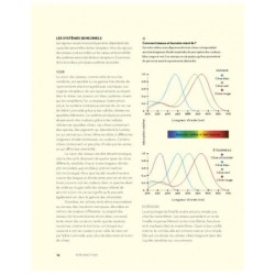 L'art de communiquer chez les oiseaux - Chants, cris, plumes et danses
