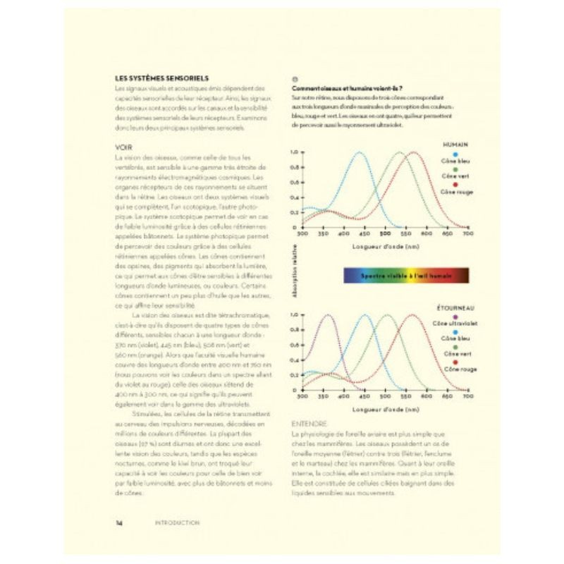L'art de communiquer chez les oiseaux - Chants, cris, plumes et danses