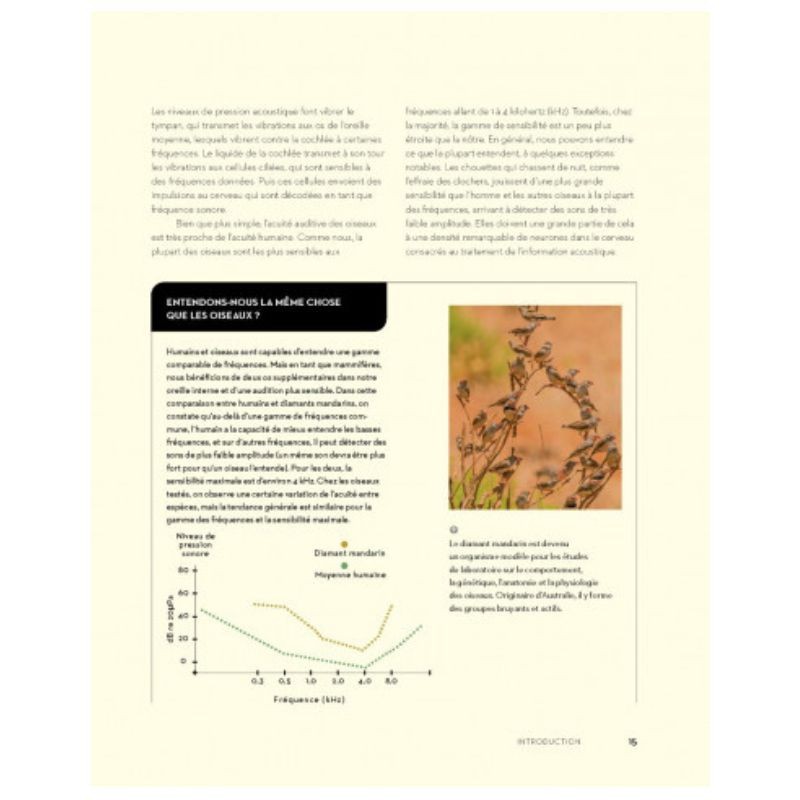 L'art de communiquer chez les oiseaux - Chants, cris, plumes et danses