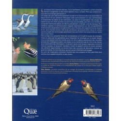L'art de communiquer chez les oiseaux - Chants, cris, plumes et danses