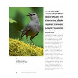 L'art de communiquer chez les oiseaux - Chants, cris, plumes et danses