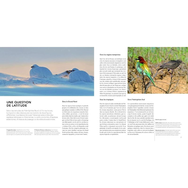 Migrations - Pourquoi et comment migrent les oiseaux