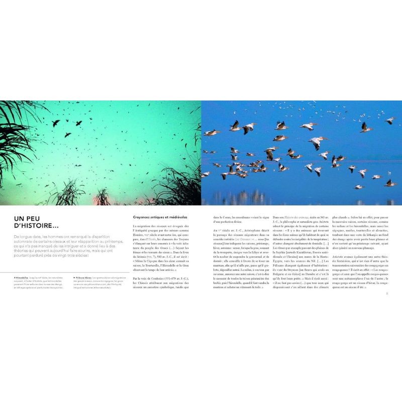 Migrations - Pourquoi et comment migrent les oiseaux