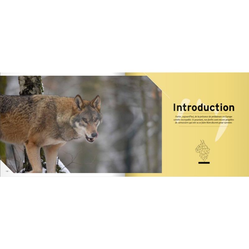 Les dents de la forêt Les dents de la forêt