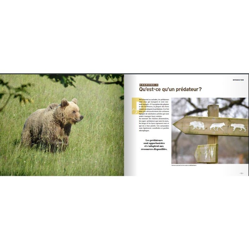 Les dents de la forêt Les dents de la forêt