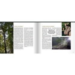 Les dents de la forêt Les dents de la forêt