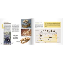 Les dents de la forêt Les dents de la forêt