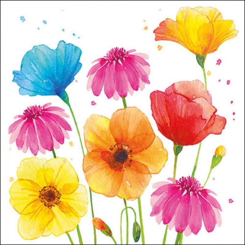 Serviettes "Fleurs d'été multicolores" - Table