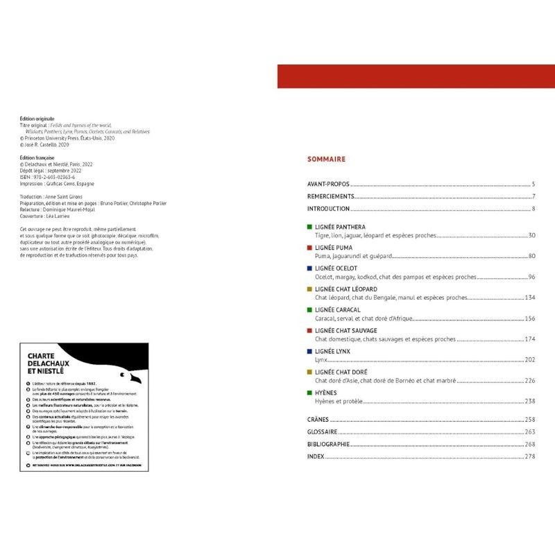 Félins et Hyènes du monde - Lions, Tigres, Pumas, Ocelots et apparentés Félins et Hyènes du monde - Lions, Tigres, Pumas, Ocelots et apparentés