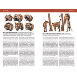 Félins et Hyènes du monde - Lions, Tigres, Pumas, Ocelots et apparentés Félins et Hyènes du monde - Lions, Tigres, Pumas, Ocelots et apparentés