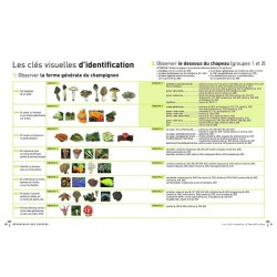 Le Larousse des champignons