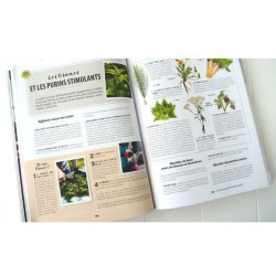 Le Guide Truffaut Jardin durable et permaculture pour tous Le Guide Truffaut Jardin durable et permaculture pour tous