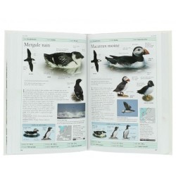 Oiseaux de France et d'Europe - 800 espèces, 100 chants d'oiseaux - Nvelle Edition Oiseaux de France et d'Europe - 800 espèces, 100 chants d'oiseaux - Nvelle Edition