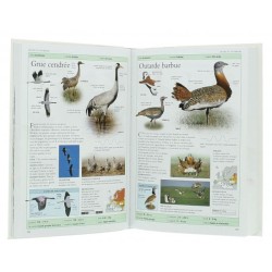 Oiseaux de France et d'Europe - 800 espèces, 100 chants d'oiseaux - Nvelle Edition Oiseaux de France et d'Europe - 800 espèces, 100 chants d'oiseaux - Nvelle Edition