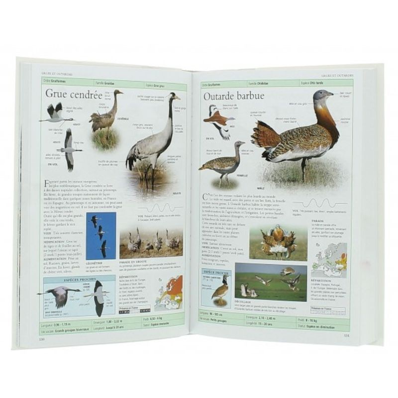 Oiseaux de France et d'Europe - 800 espèces, 100 chants d'oiseaux - Nvelle Edition Oiseaux de France et d'Europe - 800 espèces, 100 chants d'oiseaux - Nvelle Edition
