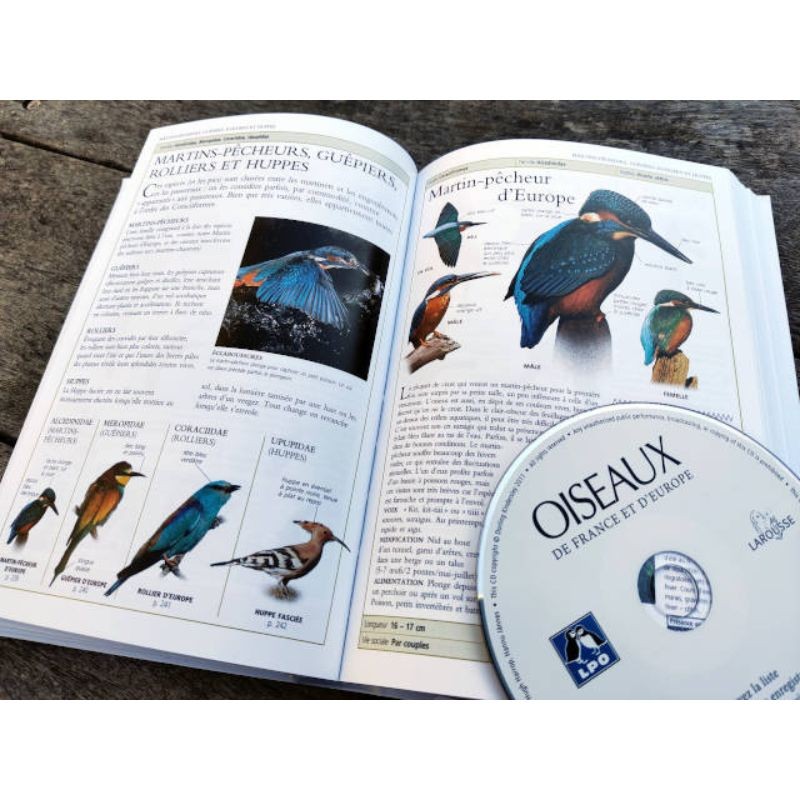 【中古】 Plus Beaux Chants D’oiseaux Sans 楽天市場】【中古】 Plus Beaux Chants D'oiseaux Sans
