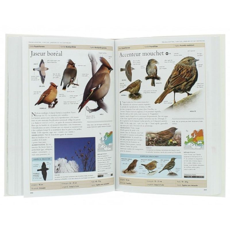 Oiseaux de France et d'Europe - 800 espèces, 100 chants d'oiseaux - Nvelle Edition Oiseaux de France et d'Europe - 800 espèces, 100 chants d'oiseaux - Nvelle Edition