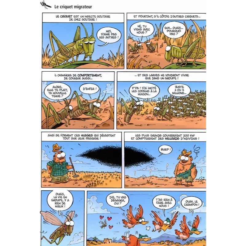 Les Insectes en BD - Tome 2