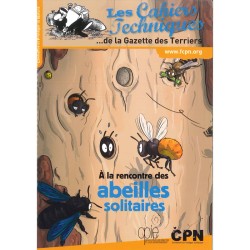 A la rencontre des abeilles solitaires