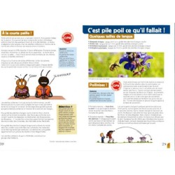 A la rencontre des abeilles solitaires A la rencontre des abeilles solitaires