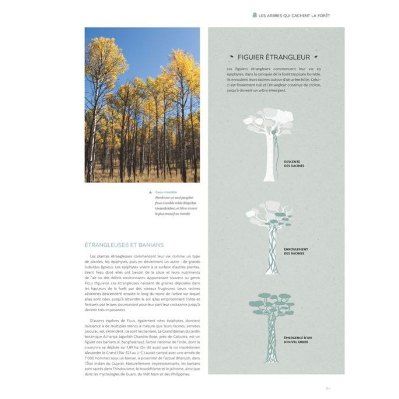 La vie secrète des arbres - Edition intégrale illustrée de 150