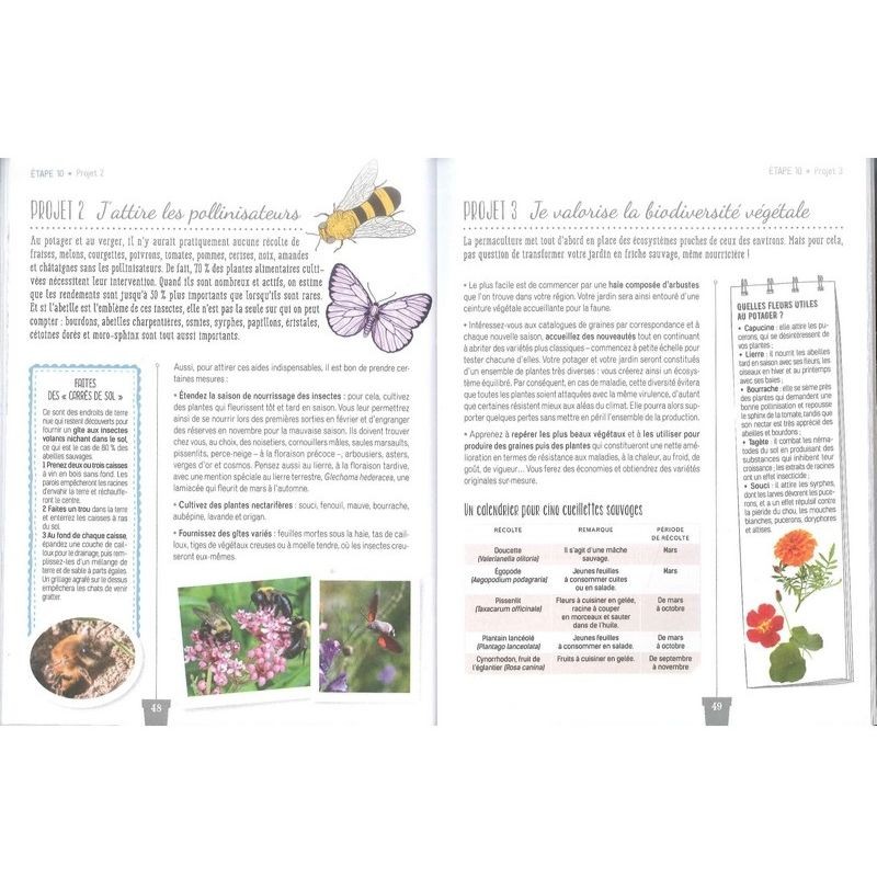 Premiers pas en permaculture Premiers pas en permaculture