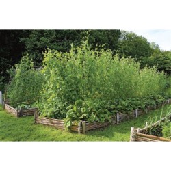 Le jardin des Utopies