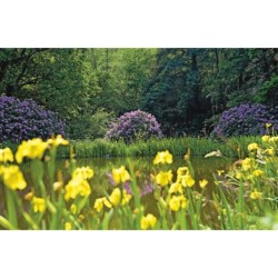 Le jardin des Utopies