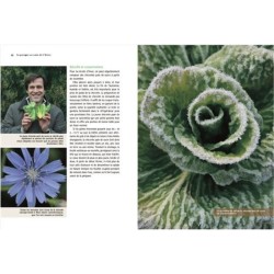 Un potager au coeur de l'hiver