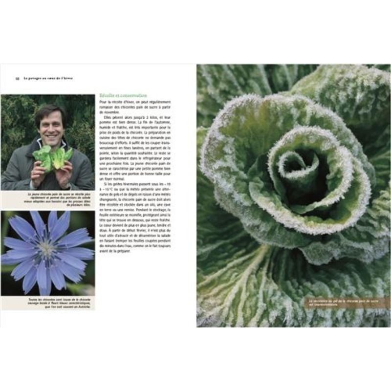 Un potager au coeur de l'hiver