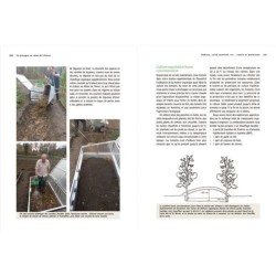 Un potager au coeur de l'hiver