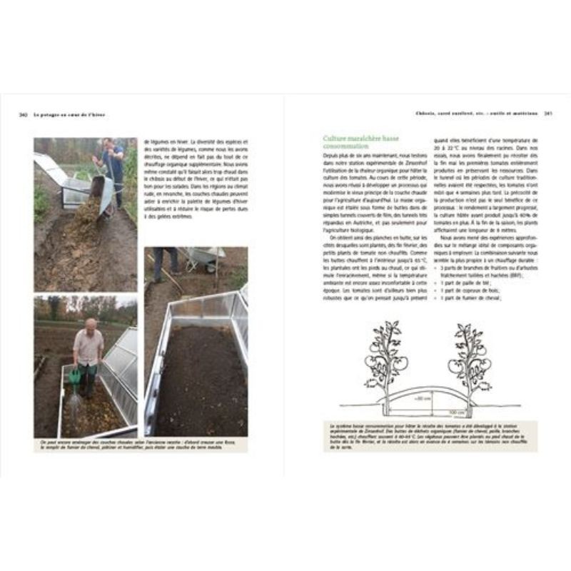 Un potager au coeur de l'hiver