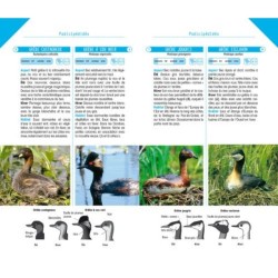 Oiseaux d'Europe - Poche nature