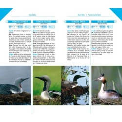 Oiseaux d'Europe - Poche nature