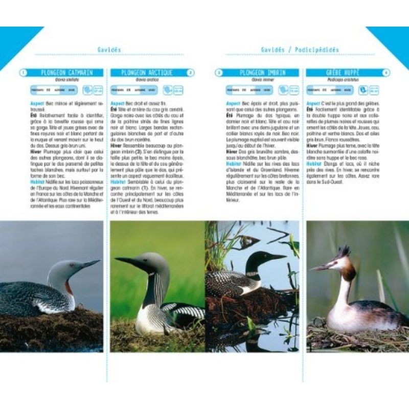 Oiseaux d'Europe - Poche nature