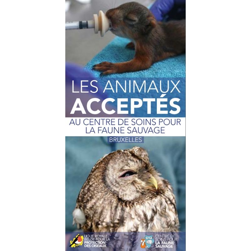 Flyer "Les animaux acceptés au centre de soins pour la faune sauvage - Bruxelles" - Dépliant