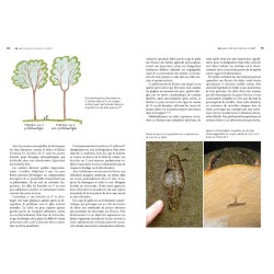 QD – Une autre gestion de la Forêt - Basée sur la qualité, les cycles naturels et à moindre coût QD – Une autre gestion de la Forêt - Basée sur la qualité, les cycles naturels et à moindre coût