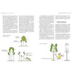 QD – Une autre gestion de la Forêt - Basée sur la qualité, les cycles naturels et à moindre coût QD – Une autre gestion de la Forêt - Basée sur la qualité, les cycles naturels et à moindre coût