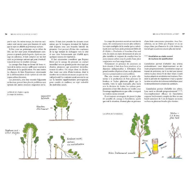 QD – Une autre gestion de la Forêt - Basée sur la qualité, les cycles naturels et à moindre coût QD – Une autre gestion de la Forêt - Basée sur la qualité, les cycles naturels et à moindre coût