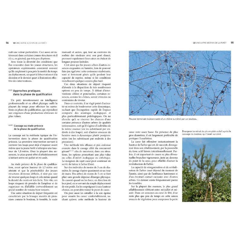 QD – Une autre gestion de la Forêt - Basée sur la qualité, les cycles naturels et à moindre coût QD – Une autre gestion de la Forêt - Basée sur la qualité, les cycles naturels et à moindre coût
