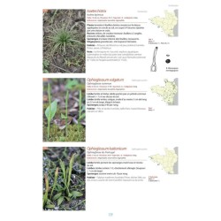 La flore du Massif armoricain et ses marges - Bretagne, Basse-Normandie, Pays de la Loire, Deux-Sèvres