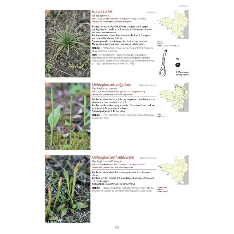 La flore du Massif armoricain et ses marges - Bretagne, Basse-Normandie, Pays de la Loire, Deux-Sèvres