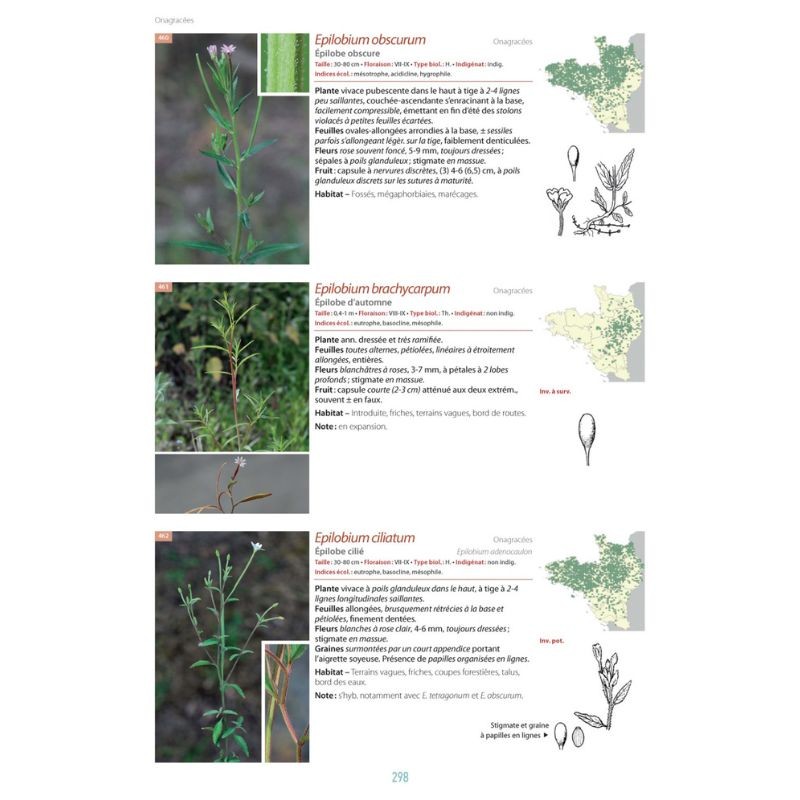 La flore du Massif armoricain et ses marges - Bretagne, Basse-Normandie, Pays de la Loire, Deux-Sèvres