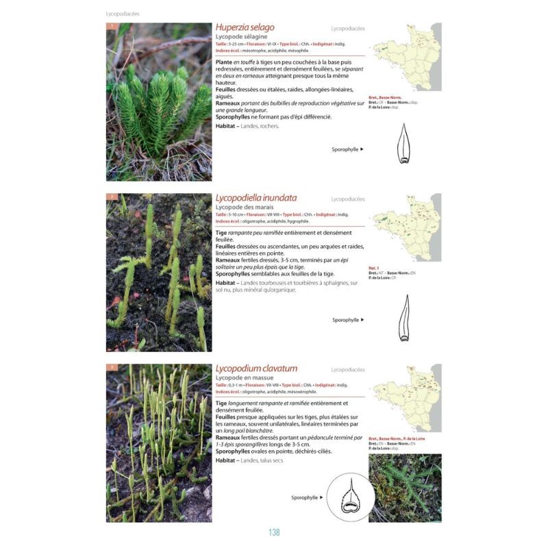 La flore du Massif armoricain et ses marges - Bretagne, Basse-Normandie, Pays de la Loire, Deux-Sèvres