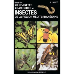 Guide des mille-pattes, arachnides et insectes de la région méditerranéenne