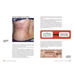 Champignons toxiques - Identifier 200 espèces et leurs syndromes Champignons toxiques - Identifier 200 espèces et leurs syndromes