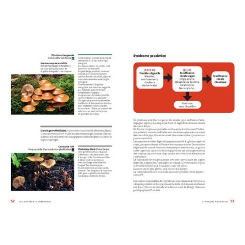 Champignons toxiques - Identifier 200 espèces et leurs syndromes Champignons toxiques - Identifier 200 espèces et leurs syndromes