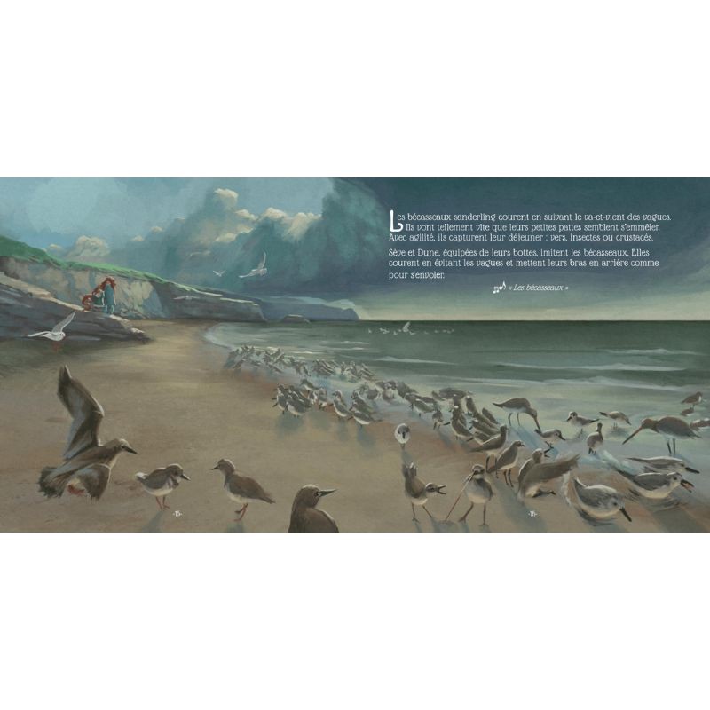 Sève et Dune - La plage en hiver