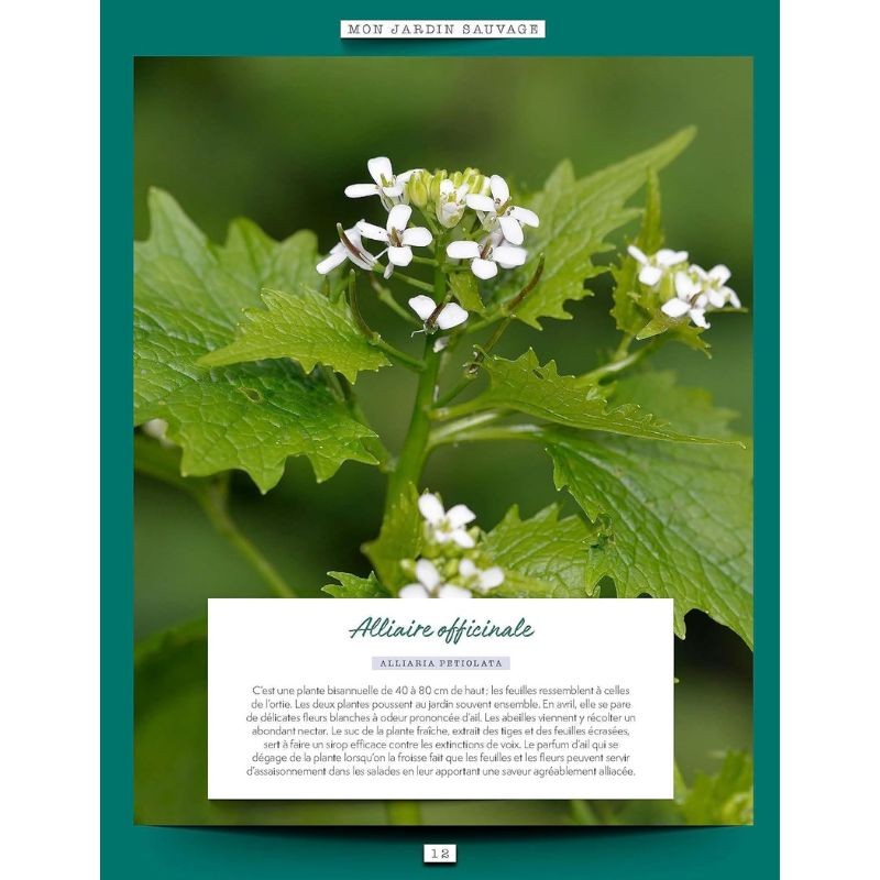 Mon jardin sauvage - Favoriser la diversité animale et végétale