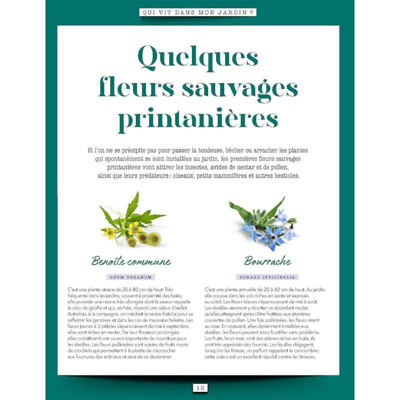 Mon jardin sauvage - Favoriser la diversité animale et végétale